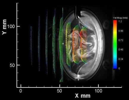 Vectors Overlaid on a PIV Image of a Speaker